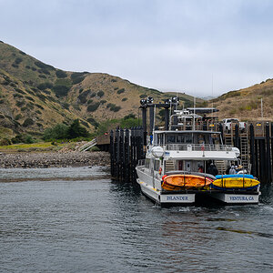 DSC_4304.jpg