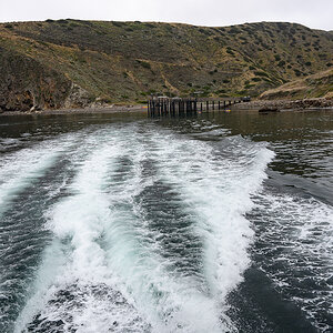 DSC_4316.jpg