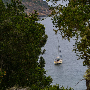 DSC_4340.jpg