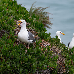 DSC_4555.jpg