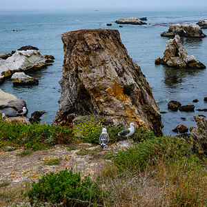 DSC_4566.jpg