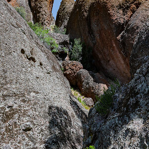 DSC_4720.jpg