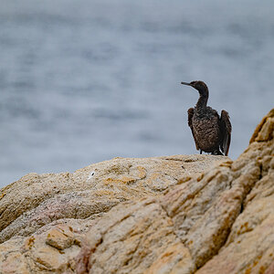DSC_4764.jpg