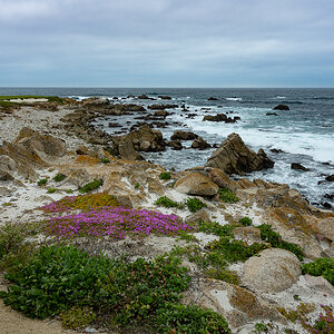 DSC_4765.jpg