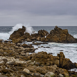 DSC_4776.jpg