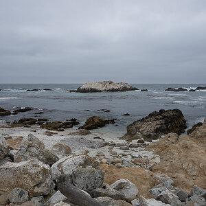 DSC_4785.jpg