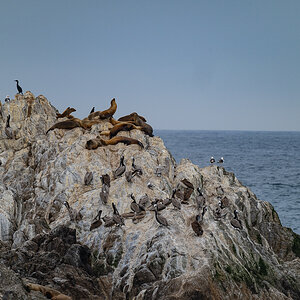 DSC_4789.jpg