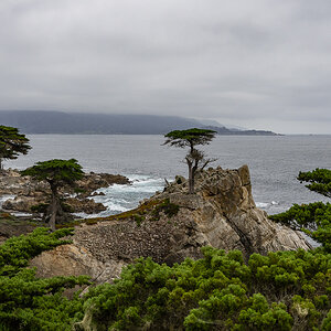 DSC_4799.jpg