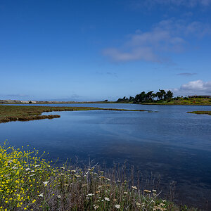 DSC_4857.jpg