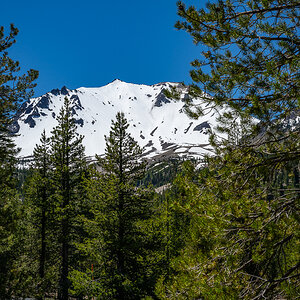 DSC_4978.jpg