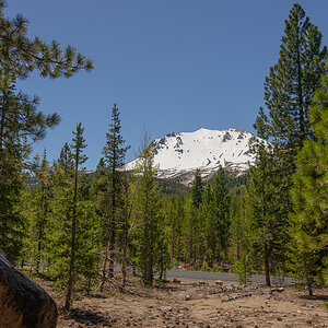 DSC_4979.jpg