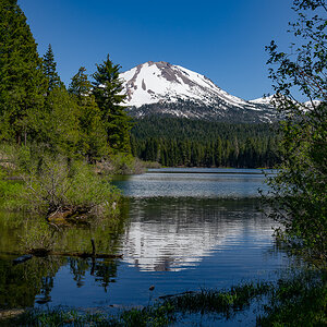 DSC_5005.jpg