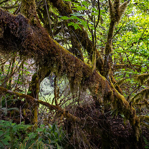 DSC_5031.jpg