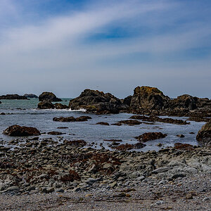 DSC_5076.jpg
