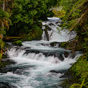 DSC_5141.jpg