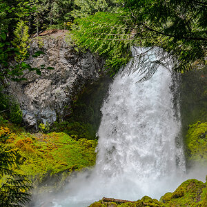 DSC_5169.jpg