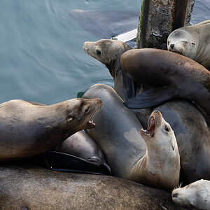 DSC_5184.jpg