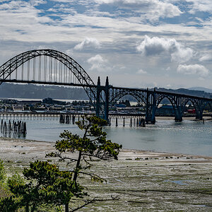 DSC_5198.jpg