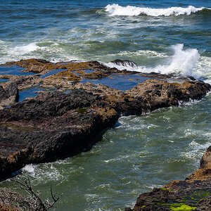 DSC_5247.jpg