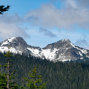 DSC_5347.jpg