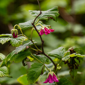 DSC_5466.jpg