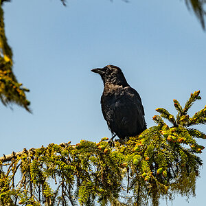DSC_5467.jpg