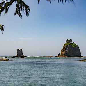DSC_5471.jpg