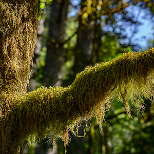 DSC_5477.jpg