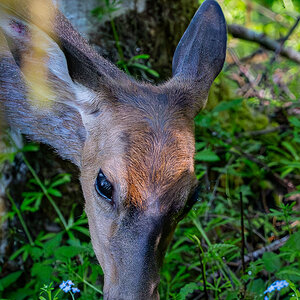 DSC_5524-Bearbeitet.jpg