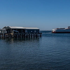 DSC_5537.jpg