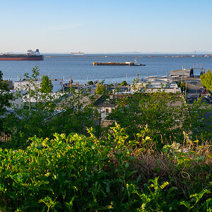 DSC_5542.jpg