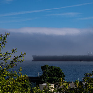 DSC_5545.jpg