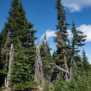 DSC_5547.jpg