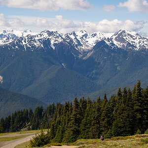 DSC_5602.jpg