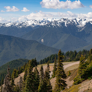 DSC_5603.jpg
