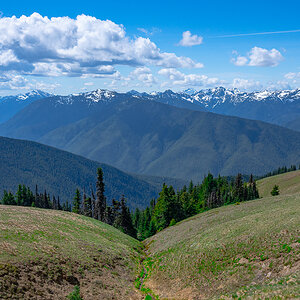 DSC_5606.jpg