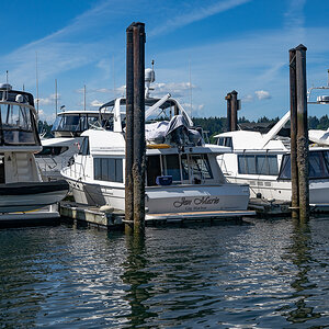 DSC_5617.jpg
