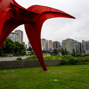 DSC_5671.jpg