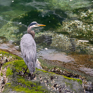 DSC_5679.jpg