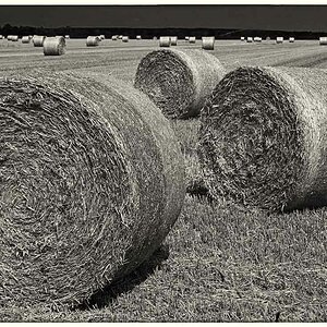 Rundballen 1_BW.jpg