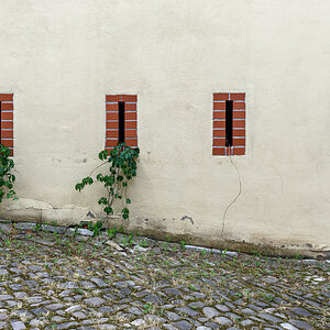 OF2_77947.jpg