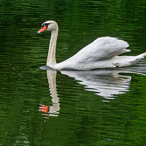 OF5_54708.jpg