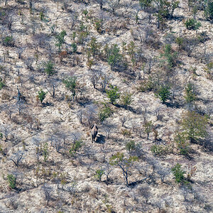 DSC_0944.jpg