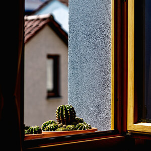 DSCF2981.jpg