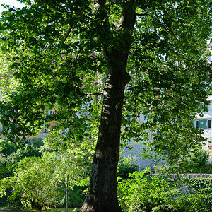DSCF3157.jpg