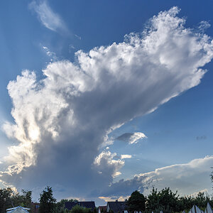 OF2_78179.jpg