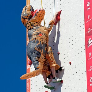 Speed-Climbing I.jpg