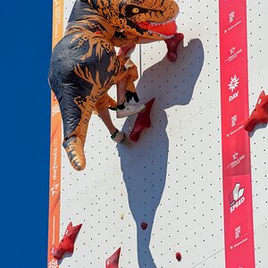 Speed-Climbing II.jpg