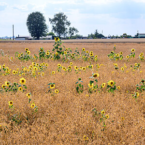 OFZ_06004.jpg