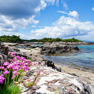 Coral Beach.jpg